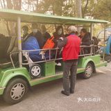 免费公园 近距离接触小动物