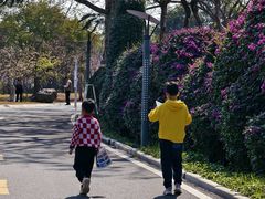 -东南花都花博园