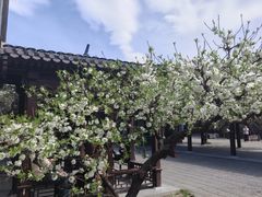 -新奥购物中心