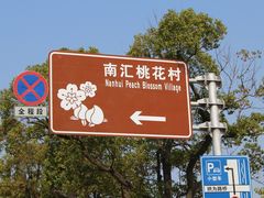 -南汇桃花村