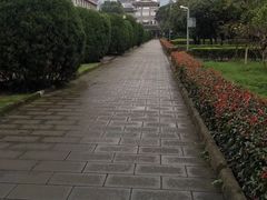 -四川大学(华西校区)