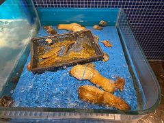 -沈灶河豚宴·河豚融合餐厅(汉中路店)