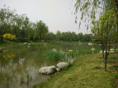 -武清南湖绿博园