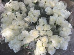 -循礼门鲜花花市(武汉循礼门店)