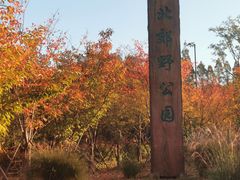-嘉北郊野公园