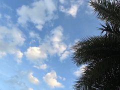 -三亚亚龙湾雅高美爵酒店