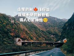 -西安金龙峡风景区