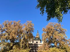 -北京石刻艺术博物馆(五塔寺)