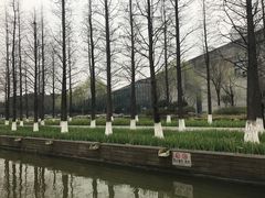 -圩墩遗址公园