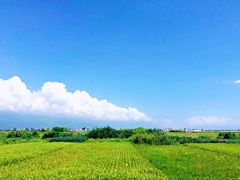 -大理洱海