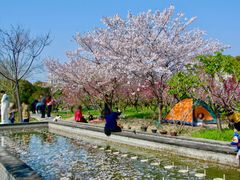 -南汇桃花村