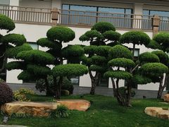 -扬州瘦西湖温泉