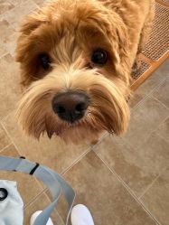 -WAVE SODA摄影工作室