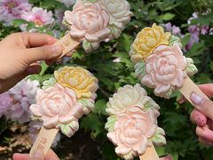 -洛阳市隋唐城遗址植物园