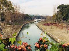 -昆山城市生态森林公园