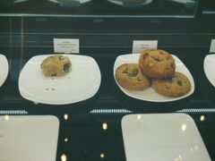 -Seesaw Coffee(苏州中心店)