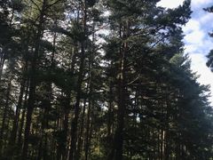 门面-美人松苑