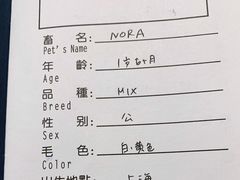 -申普宠物医院·心脏介入·心血管微创(总院)