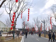 -三圣花乡旅游区