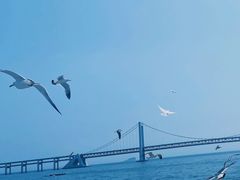 -大连圣亚海洋世界