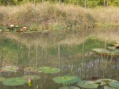 -露天矿生态公园