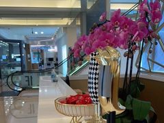 -红星美凯龙(浦江店)