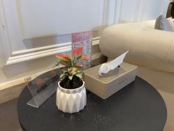 -上海薇琳医疗美容医院