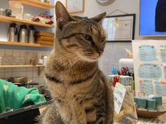 -猫的天空之城概念书店(杭州南宋御街店)