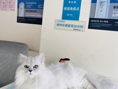 -御宝贝24h宠物医院·转诊中心·CT核磁血透中心(厦门总院)