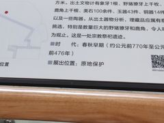 -金沙遗址博物馆
