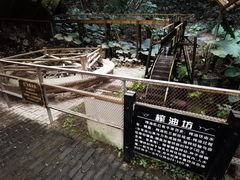 -青青世界