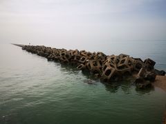 -东疆建设开发纪念公园