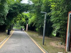 -花溪公园