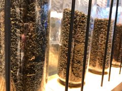-喜茶(上海打浦桥日月光gelato lab+店)