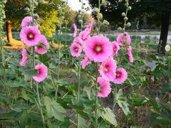 -北运河水利风景区