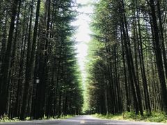 -光雾山旅游景区