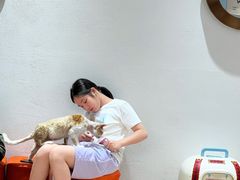 -1013 PET SHOP精品宠物商店(丁香店)