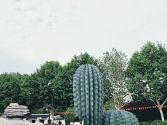 -宜兴龙背山森林公园