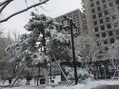 -西海子公园