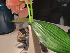 -雀蓝川菜(滨湖万象汇店)