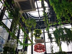 -聚缘·湘味音乐餐厅party(罗湖店)