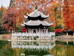 -习家池