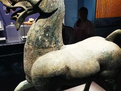 -广西壮族自治区博物馆