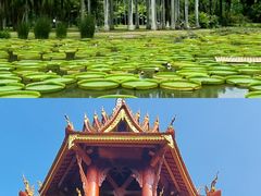-曼听御花园