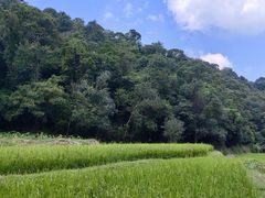 -世间香境·七溪地