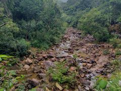 -广州白江湖森林公园