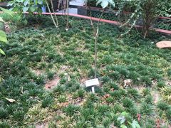 -广州神农草堂中医药博物馆