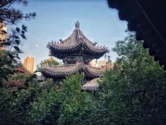 -迎泽公园
