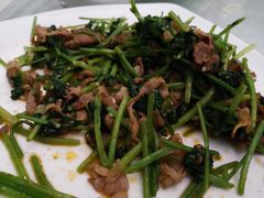 孜然羊肉-那达慕蒙古风味酒楼