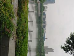 -后襄河公园